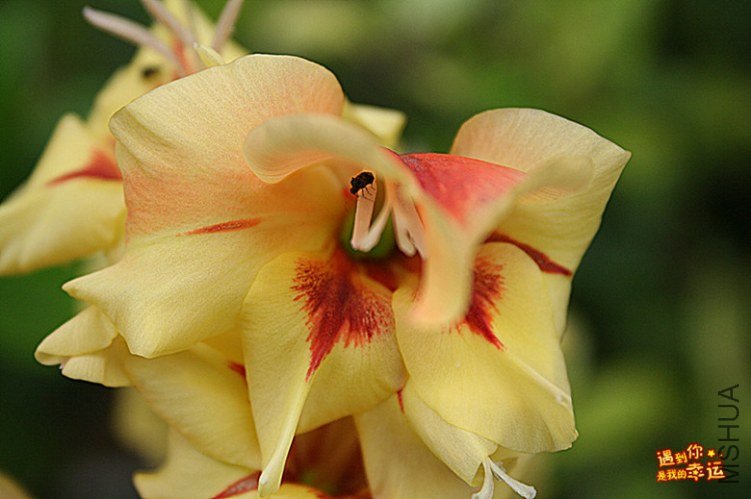 ��Ƭ 034c_����.jpg