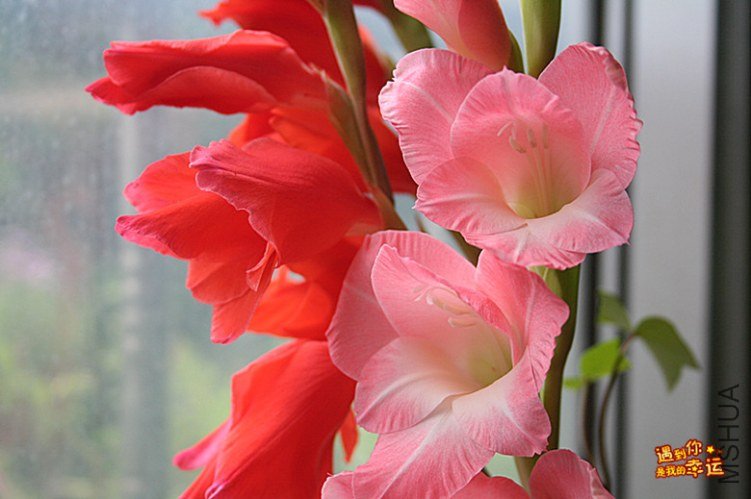 ��Ƭ 001_����.jpg