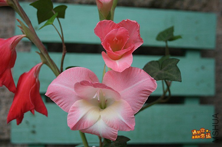 ��Ƭ 002_����.jpg