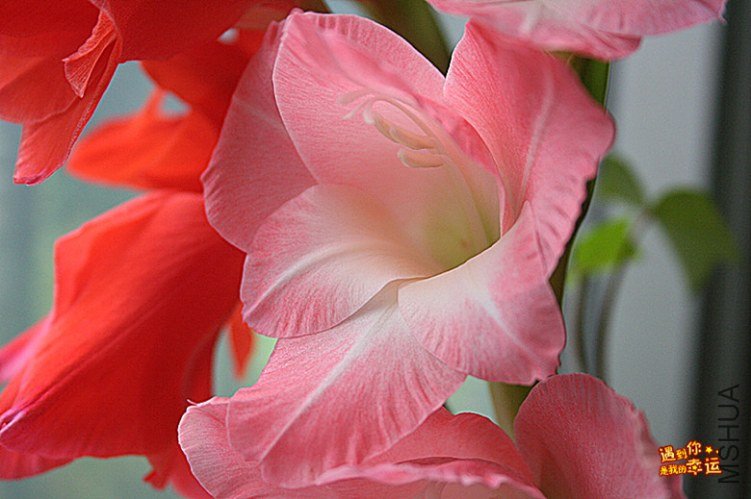 ��Ƭ 003_����.jpg