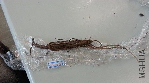 20130701_093311.jpg