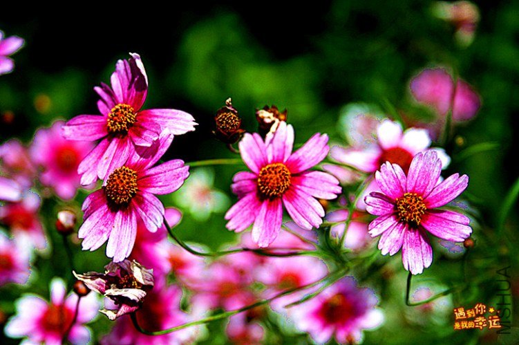 ��Ƭ 006_����.jpg