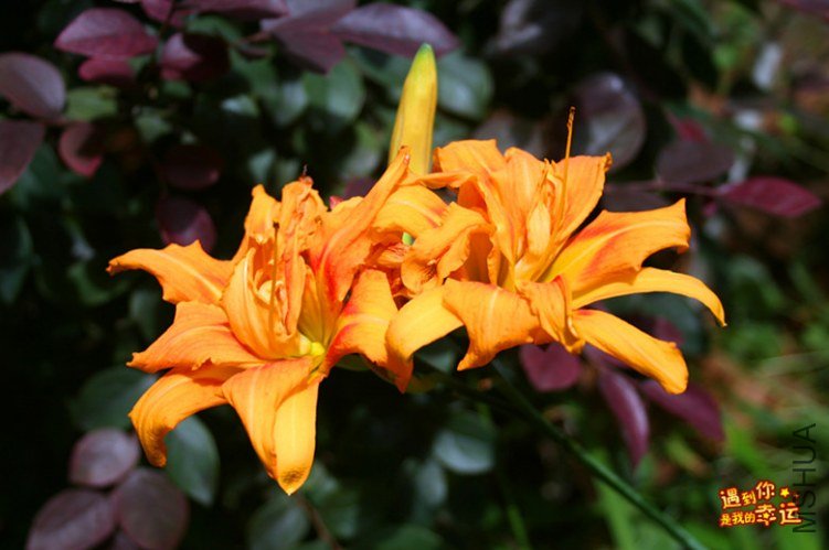 ��Ƭ 013_����.jpg