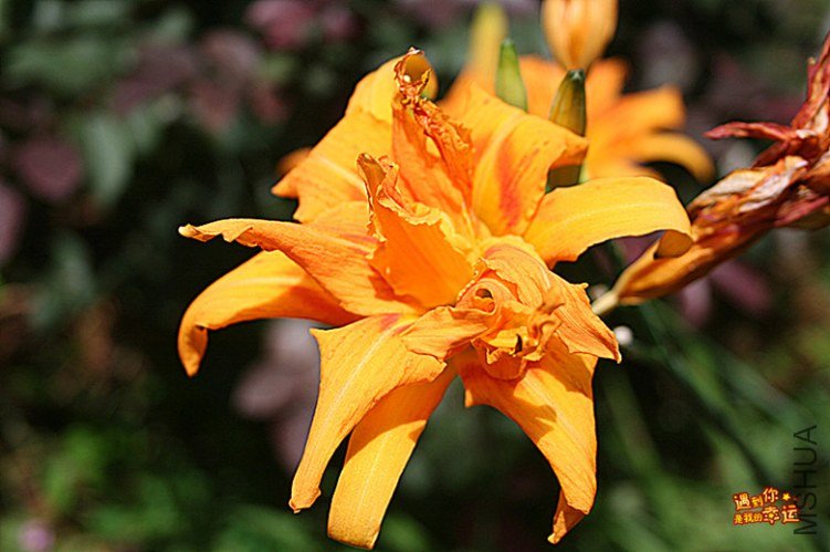 ��Ƭ 014_����.jpg