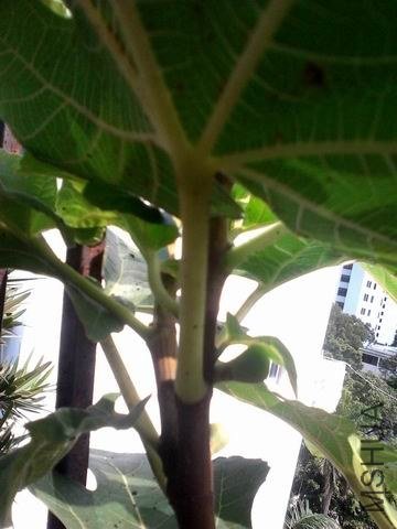 ������С �����ع� 2013-07-12_15-42-12_516.jpg