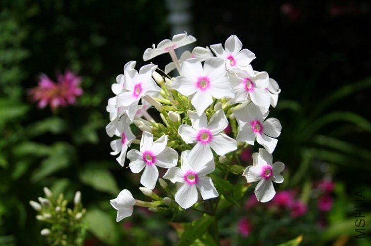 ��Ƭ 008_����.jpg