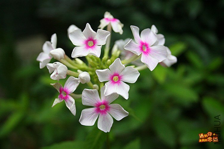 ��Ƭ 010_����.jpg