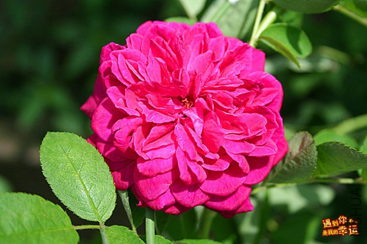 ��Ƭ 030_����.jpg