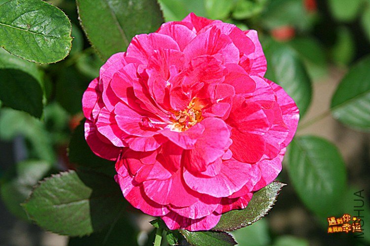 ��Ƭ 033_����.jpg