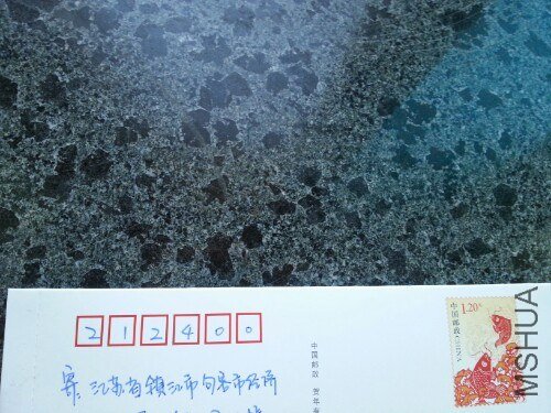 IMG20130712181754.jpg