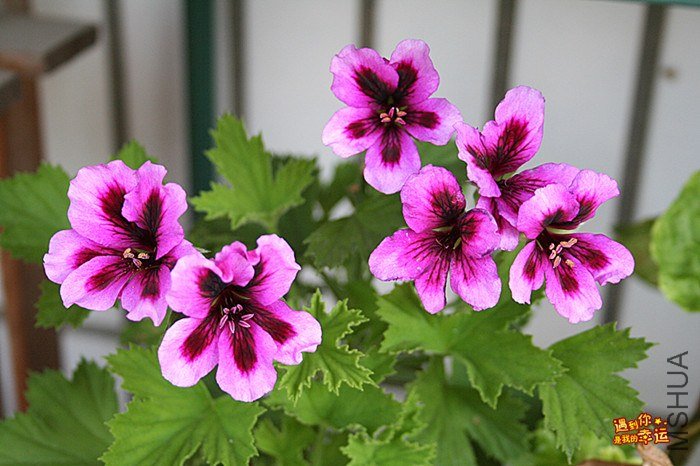 ��Ƭ 016_����.jpg