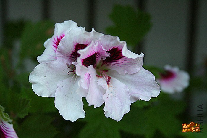 ��Ƭ 021_����.jpg