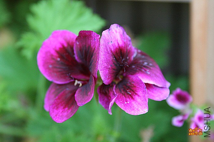 ��Ƭ 030_����.jpg