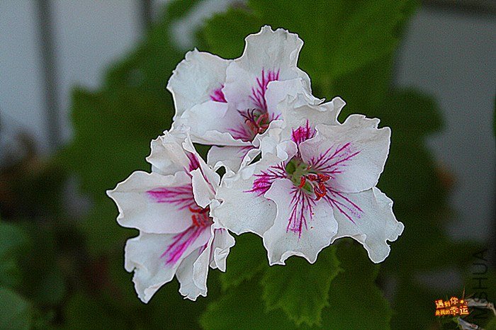 ��Ƭ 038_����.jpg