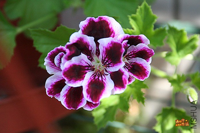 ��Ƭ 044_����.jpg