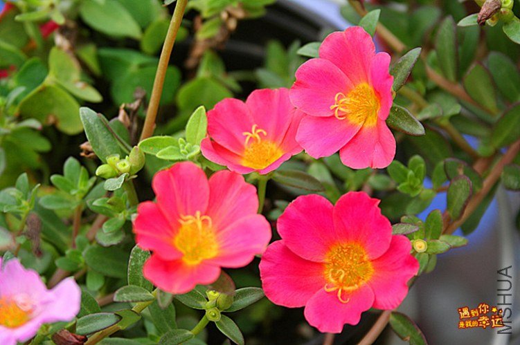 ��Ƭ 160_����.jpg