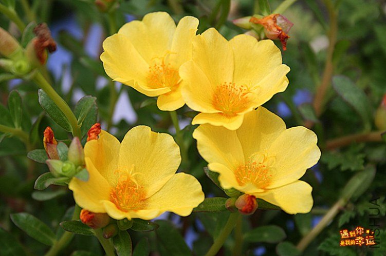 ��Ƭ 163_����.jpg