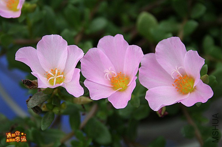 ��Ƭ 168_����.jpg