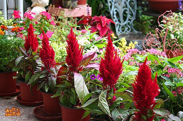 ��Ƭ 126_����_����.jpg