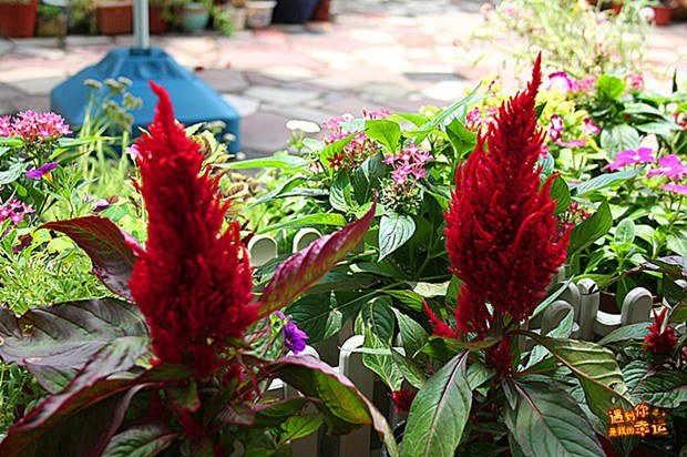 ��Ƭ 128_����_����.jpg