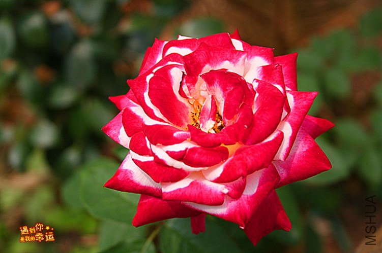 ��Ƭ 220_����.jpg