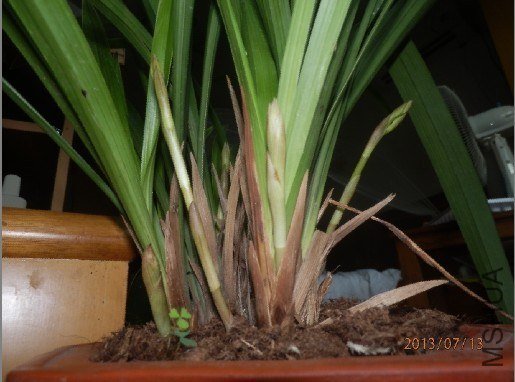 ����С�Һ�