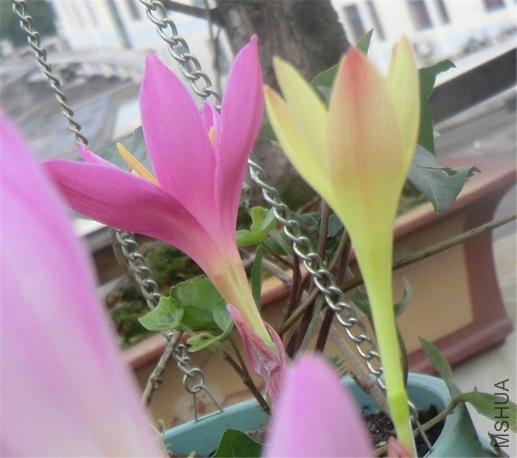 QQͼƬ20130604194948.jpg