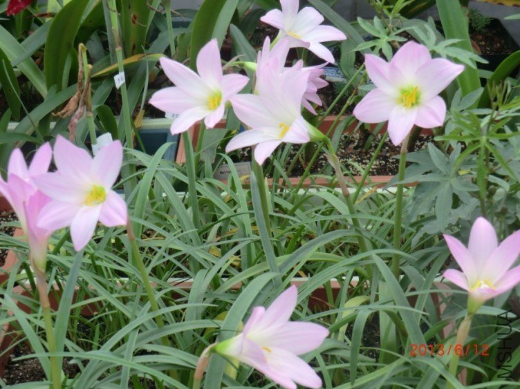 QQͼƬ20130612135917.jpg