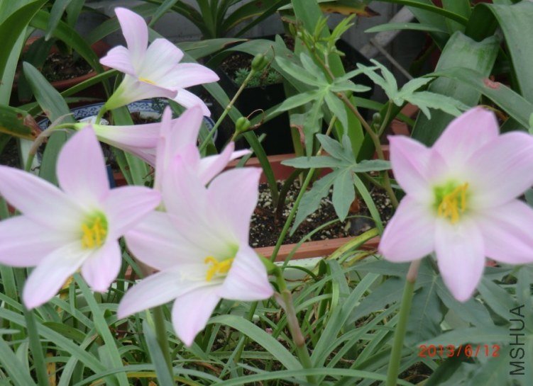 QQͼƬ20130612135937.jpg