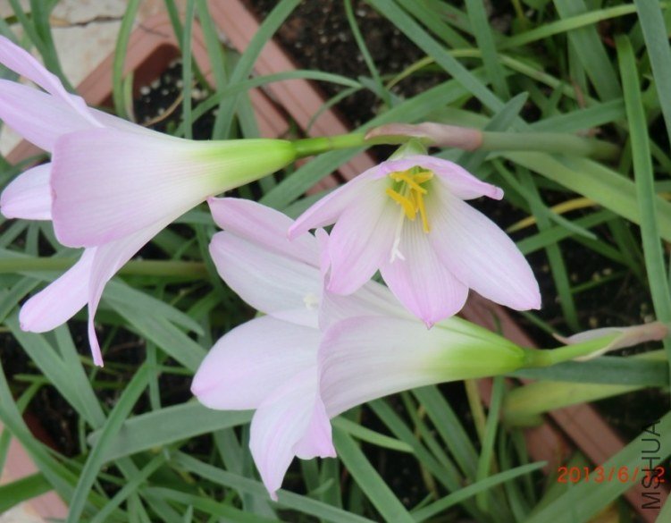 QQͼƬ20130612140000.jpg