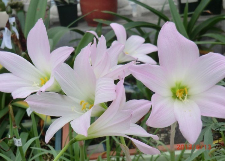 QQͼƬ20130615091943.jpg