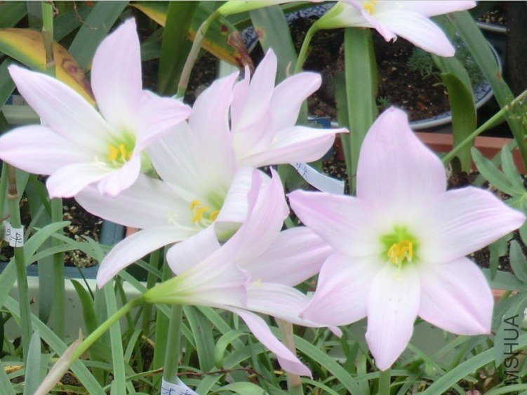 QQͼƬ20130615111529.jpg