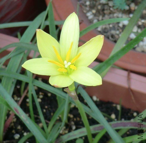 QQͼƬ20130619211052.jpg