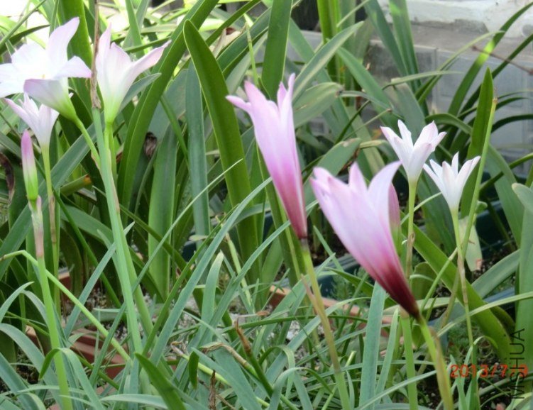 QQͼƬ20130711213624.jpg