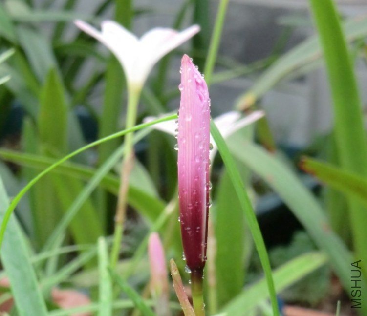 QQͼƬ20130711213903.jpg