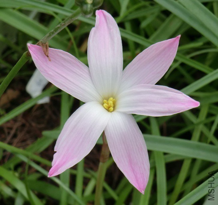 QQͼƬ20130711214140.jpg