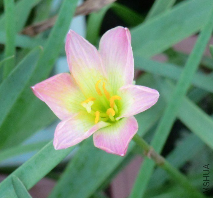 QQͼƬ20130713085923.jpg