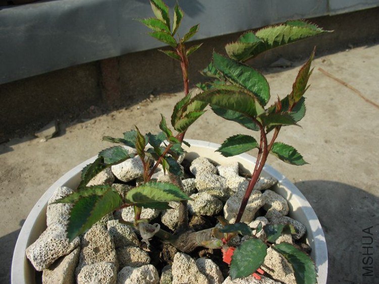 120412 002.jpg