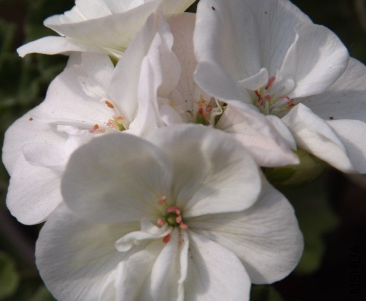 QQͼƬ20130713205125.jpg