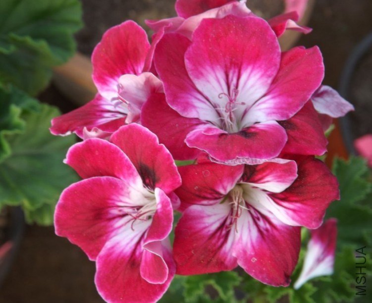 QQͼƬ20130713205349.jpg