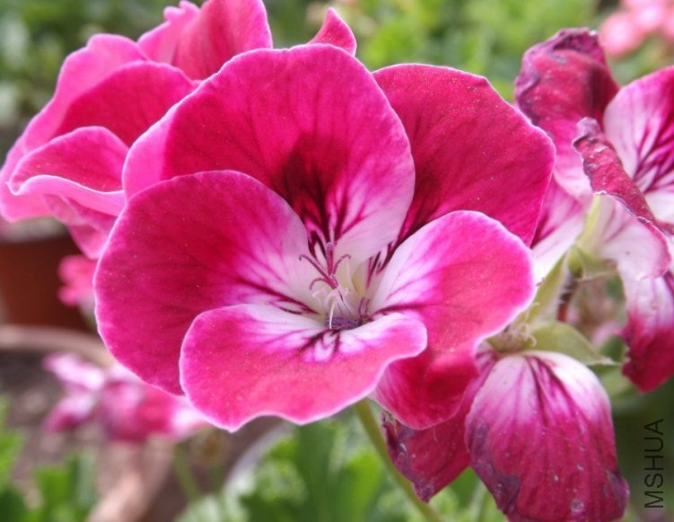 QQͼƬ20130713205049.jpg