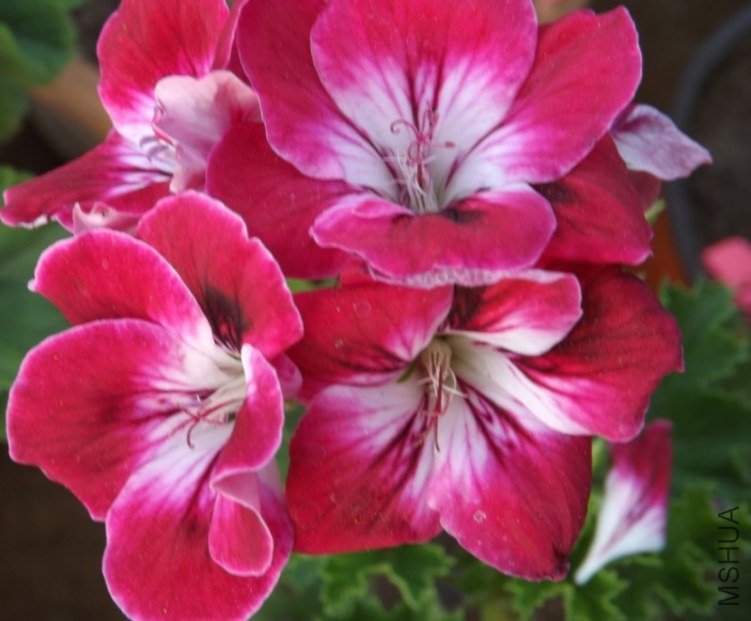 QQͼƬ20130713205335.jpg