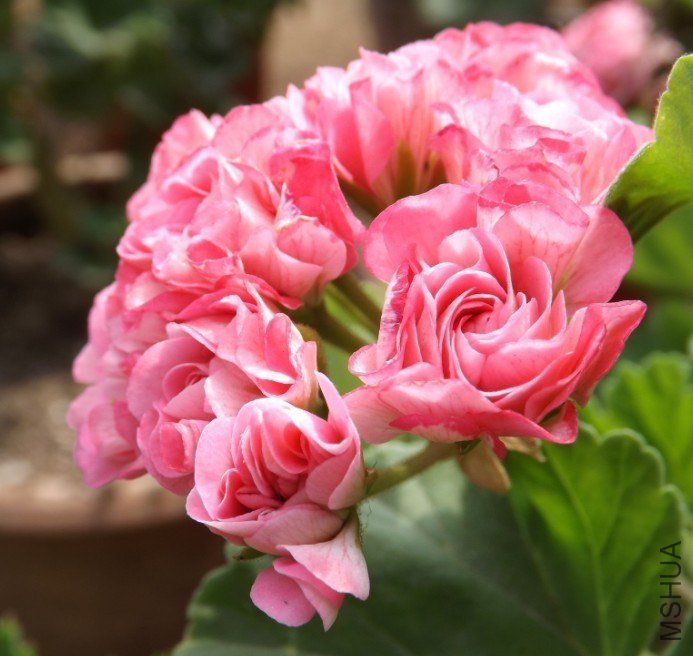QQͼƬ20130713205026.jpg