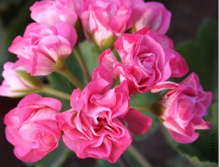 QQͼƬ20130713205318.jpg
