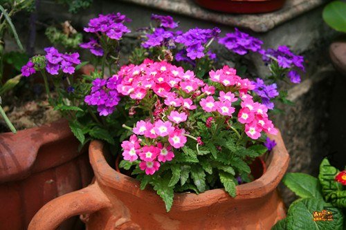 ��Ƭ 009_����.jpg