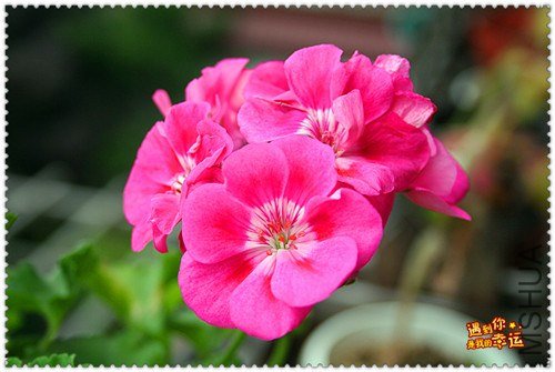 ��Ƭ 021_����.jpg