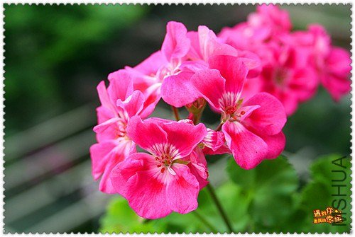 ��Ƭ 022_����.jpg