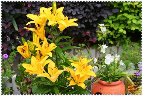 ��Ƭ 021_����.jpg