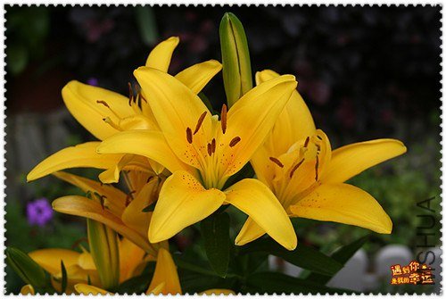 ��Ƭ 023_����.jpg