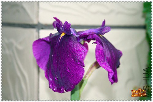 ��Ƭ 084_����.jpg